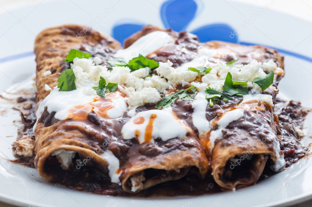 Vegetarian Mexican food, enfrijoladas. A type of enchilada dish of fresh cheese wrapped in corn tortilla and bathed in a spicy black bean sauce, topped with cream, cheese, spicy sauce and cilantro