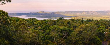 Laguna de Sontecomapan, Veracruz 'da Catemaco yakınlarında.