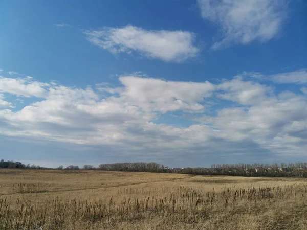 去年の草の上に曇った空 — ストック写真
