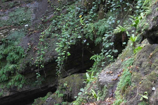 Sebuah Celah Dalam Batu Dan Vegetasi Atas Air Terjun Yang — Stok Foto