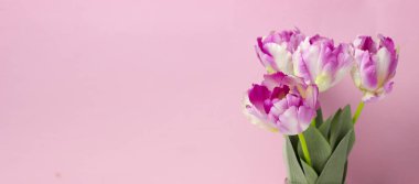 Bahar Çiçekleri grubu. Renkli laleler