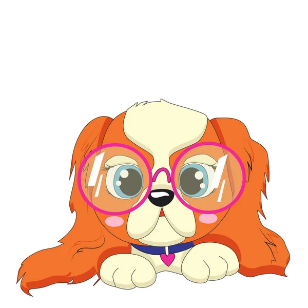 Cavalier King Charles Spaniel Chien dans des lunettes de soleil roses. Illustration vectorielle . — Image vectorielle