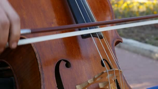 Musisi Jalanan Memainkan Cello Menembak Close — Stok Video