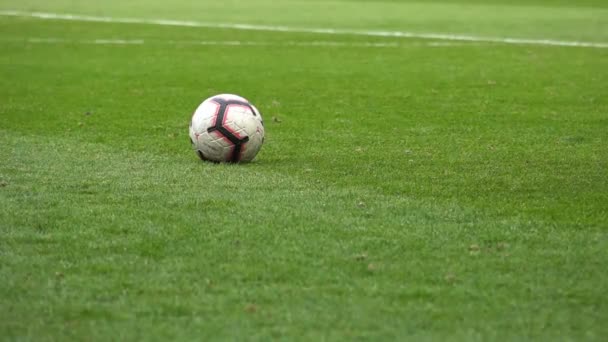 Yakın Plan Futbolcu Topa Vuruyor Ağır Çekim — Stok video
