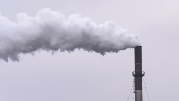 Rauch Aus Fabrikschornstein Luftverschmutzung — Stockvideo