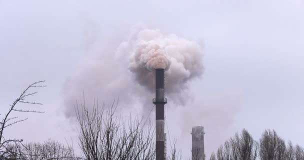 Fábrica Tubos Com Fumaça Grossa Através Das Árvores — Vídeo de Stock