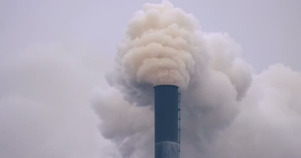 Товстий Білий Дим Заводської Трубки Забруднення Навколишнього Середовища — стокове відео