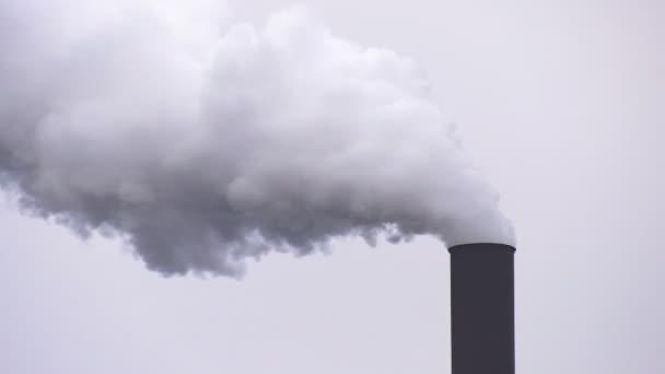 Luftverschmutzung Rauch Aus Fabrikschornstein — Stockvideo