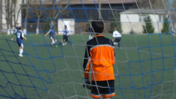 Partido Fútbol Equipos Infantiles — Vídeos de Stock