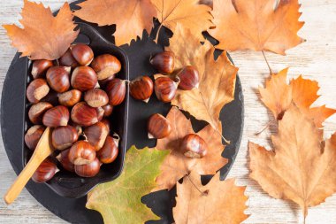 Kurumuş portakal yapraklarıyla dolu bir kase dolusu kestane. 