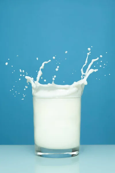 Milk splash in glass on blue background — Stock Photo, Image