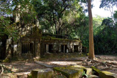 Angkor kompleksindeki tapınak, Siem Reap, Kamboçya.