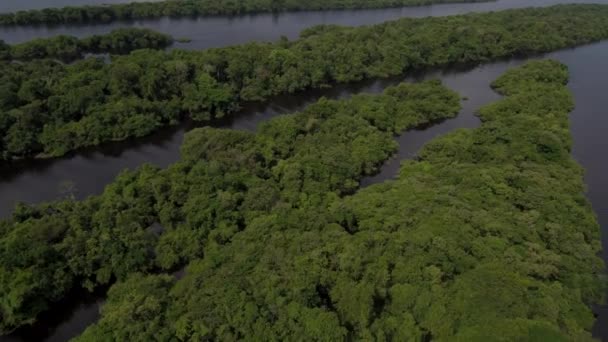 Vista Aérea Selva Amazónica Sobre Río Negro Archipiélago Anavilhanas Brasil — Vídeos de Stock