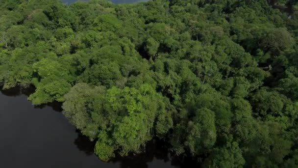 Vista Aérea Selva Amazónica Sobre Río Negro Archipiélago Anavilhanas Brasil — Vídeo de stock