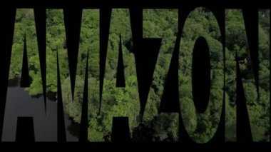 Amazon Yağmur Ormanları metni Anavilhanas Takımadaları, Brezilya