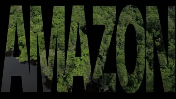 Amazon Rainforest Text Aerial View Anavilhanas Archipelago Brasil — Vídeo de stock