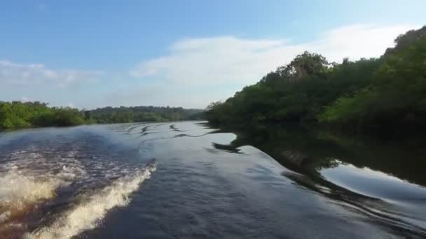 Sailing Rio Negro Waters Its Branches Amazonia Brazil — Stock Video