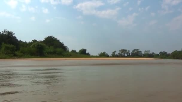 Segling Rio Cuiabas Vatten Porto Jofre Pantanal Brasilien — Stockvideo