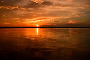 Rio Negro suları ve günbatımında orman