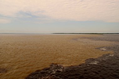 Rio Negro ve Rio Solimoes sularının buluşması, Amazon.