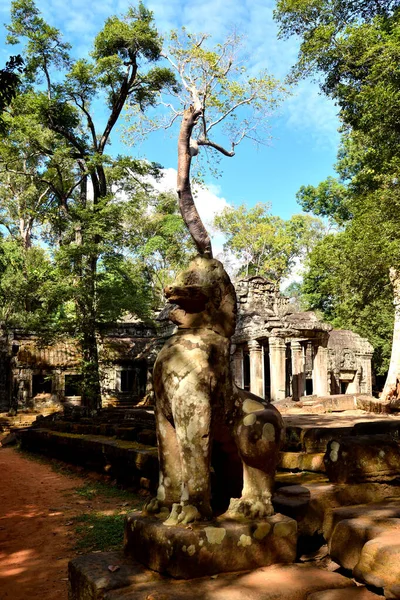 View of the beautiful famous temple of Ta Prhom, Angkor — Stok fotoğraf