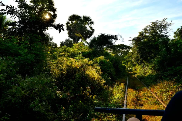 View of the Cambodian countryside from the famous bamboo train — Stok fotoğraf