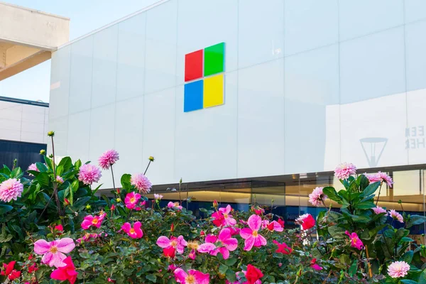 Schöne blumen blühen vor microsoft store — Stockfoto