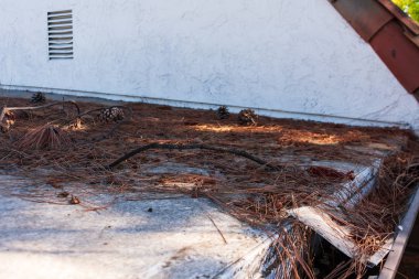 Roof gutter clogged with leaves, pine needles and debris clipart