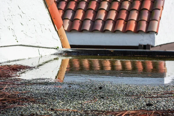 Ponding water on flat roof covered with tree debris after heavy rain — Stock Photo, Image