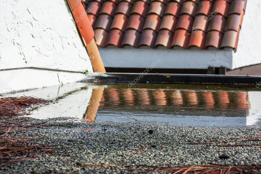Ponding water on flat roof covered with tree debris after heavy rain