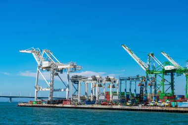 Ben E. Nutter Terminali 'nin rıhtımında gemiden kıyıya sıralı vinç.