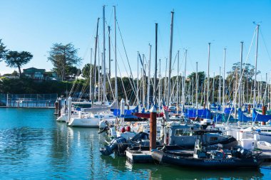 Santa Cruz Küçük Craft Limanı 'na demirlemiş boş yatlar ve balıkçı tekneleri.