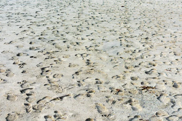 Véletlenszerű lépés a homokos strandon lévő cipőktől — Stock Fotó