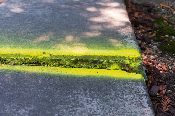 Markierter Gehweg und Sturzgefahr auf unebenem Betonplattenweg erfordern Inspektion und Reparatur, um Unfallhaftung bei Fußgängern zu verhindern — Stockfoto