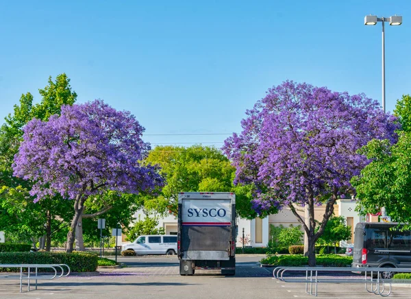 Sysco Dodávka Kamion Opustí Parkoviště Dodání Produktů Mezi Kvetoucí Fialové — Stock fotografie