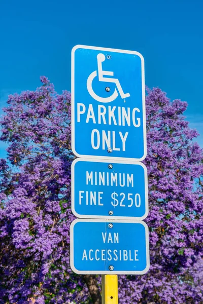 Ada Sinal Deficiente Apenas Estacionamento Com Símbolo Cadeira Rodas Deficiente — Fotografia de Stock
