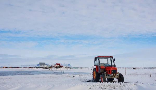 Röd Traktor Fältet Vintern — Gratis stockfoto