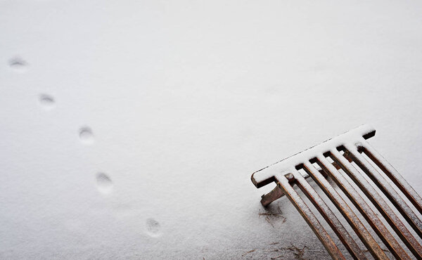 Winter bench covered with snow, top view with paw prints in the snow — Stock Image Winter Bench Covered Snow Top View Paw Prints Snow — Stock Photo, Image