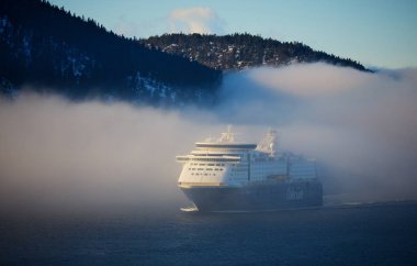 Denizde sisli büyük bir yolcu gemisi 