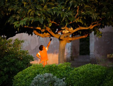 Parktaki ağaçta oynayan çocuklar 