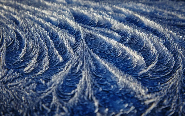 Close View Frost Surface — Free Stock Photo