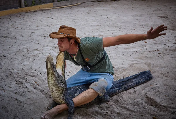 Brave Man Fighting Crocodile Show — Stock Photo, Image