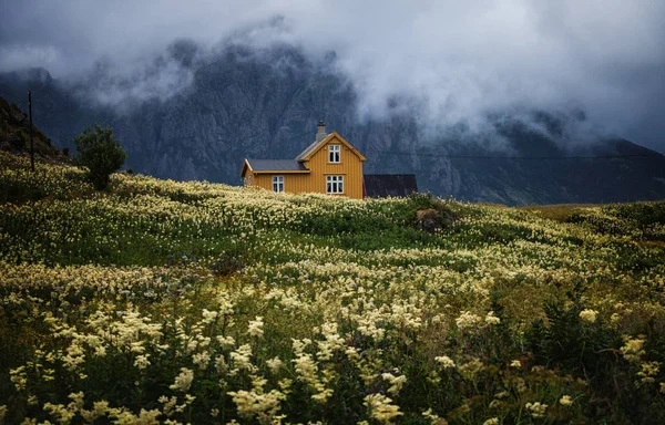 Mooi Geel Huis Bergen — Gratis stockfoto