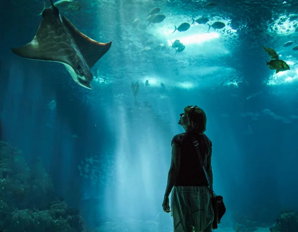 Young woman looking stingray in a tunnel aquarium