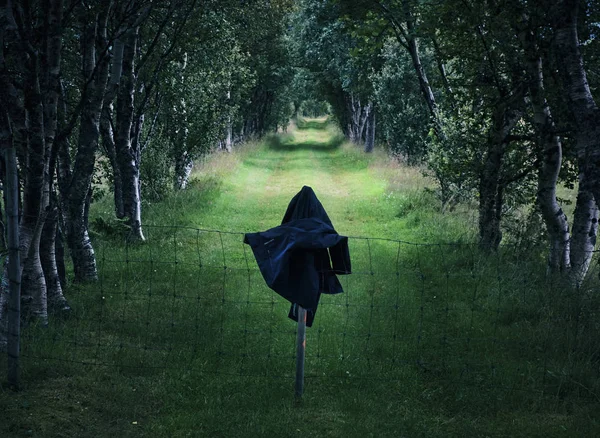 Silueta Mujer Con Sudadera Con Capucha Cerca Bosque — Foto de stock gratuita