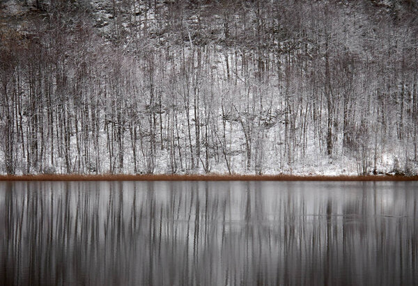 Beautiful winter landscape with trees in the woods — Stock Image Beautiful Winter Landscape Trees Woods — Stock Photo, Image
