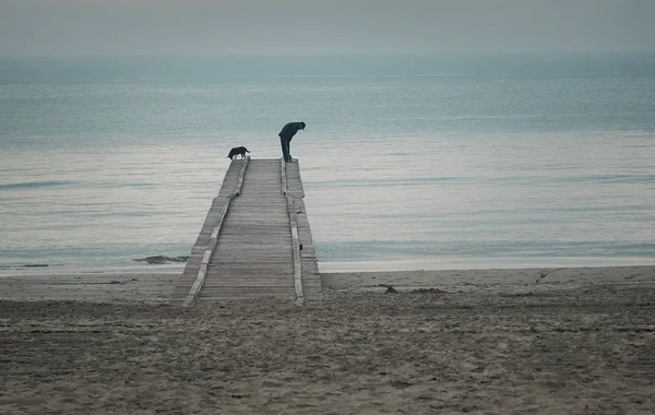 Homem Com Cão Praia Cais — Fotografia de Stock