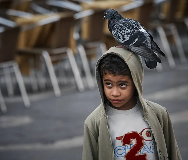 Petit Garçon Avec Pigeon Sur Tête — Photo