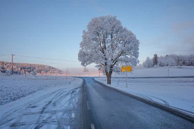 Karla kaplı ağaçlarla kaplı kış manzarası