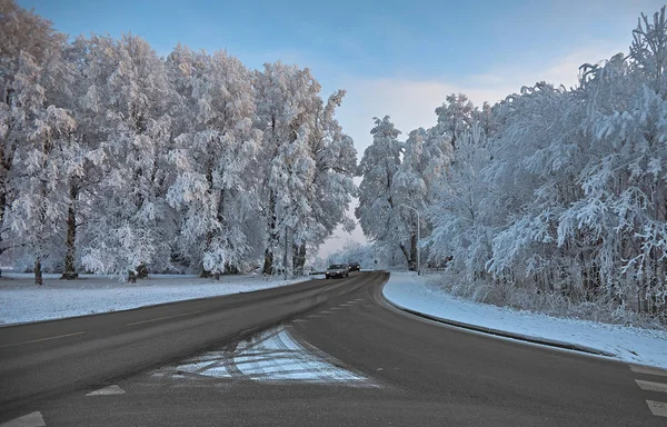 Peisaj Iarnă Copaci Acoperiți Zăpadă — Fotografie, imagine de stoc